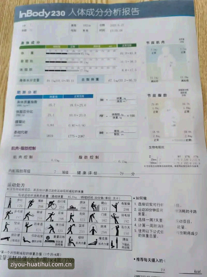 **华体会体育最新安装与数据查询：一个实用主义者的评测报告**